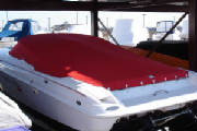 Red Dust Cover